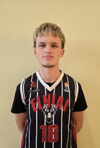 Nikas Šostak